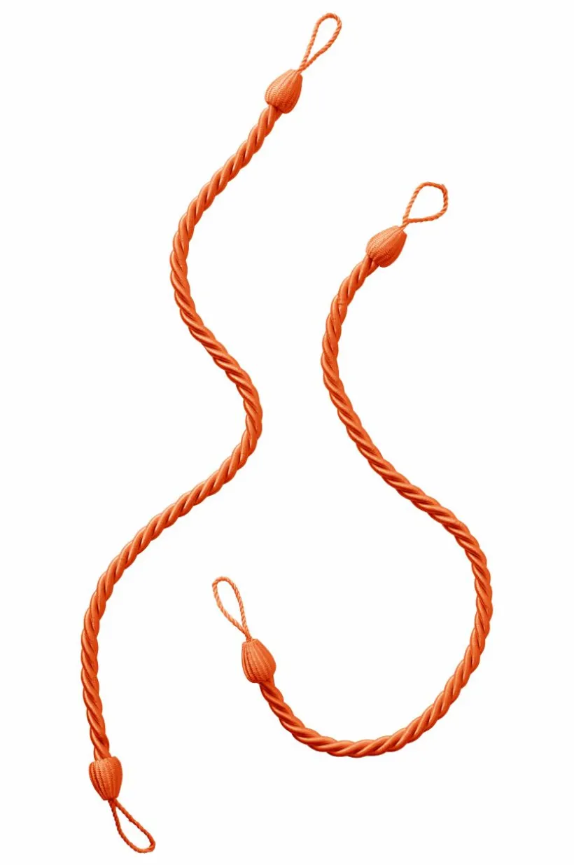 SNODDAS Repomtag 2-pack