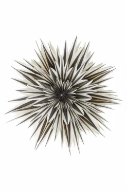 SPICA Julstjärna ø 64 Cm