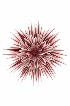 SPICA Julstjärna ø 64 Cm