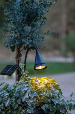 Spotlight Solcellsbelysning