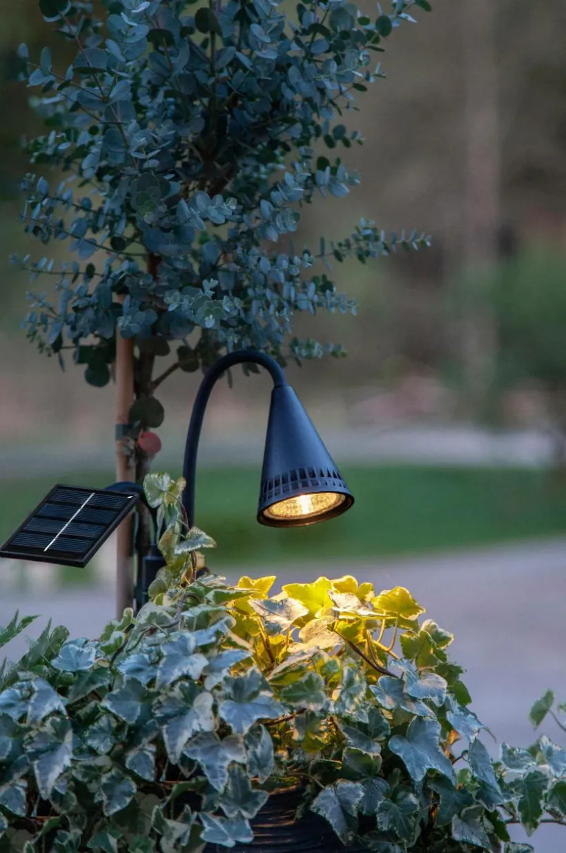 Spotlight Solcellsbelysning