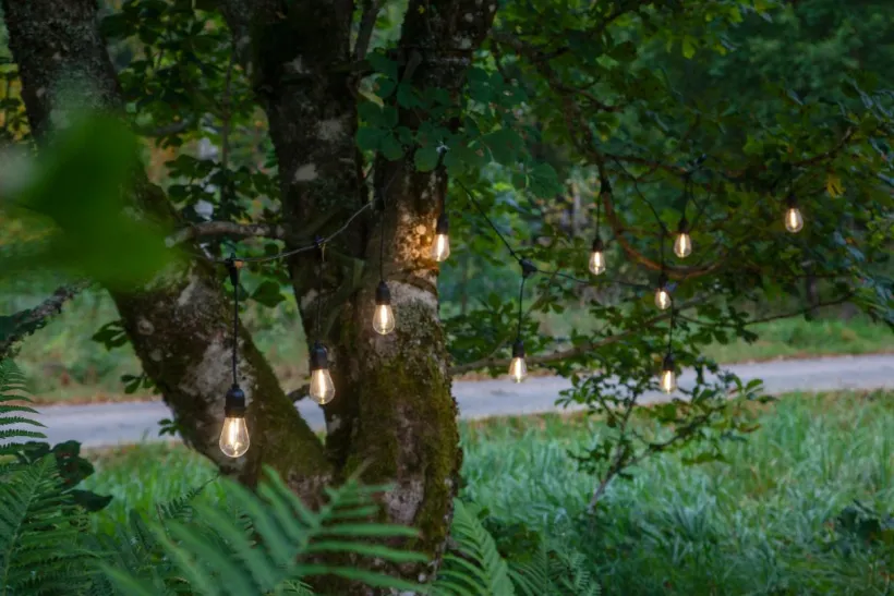 String Light Ljusslinga