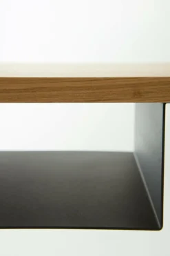 TÅGABORG Skrivbord 45x110 Cm