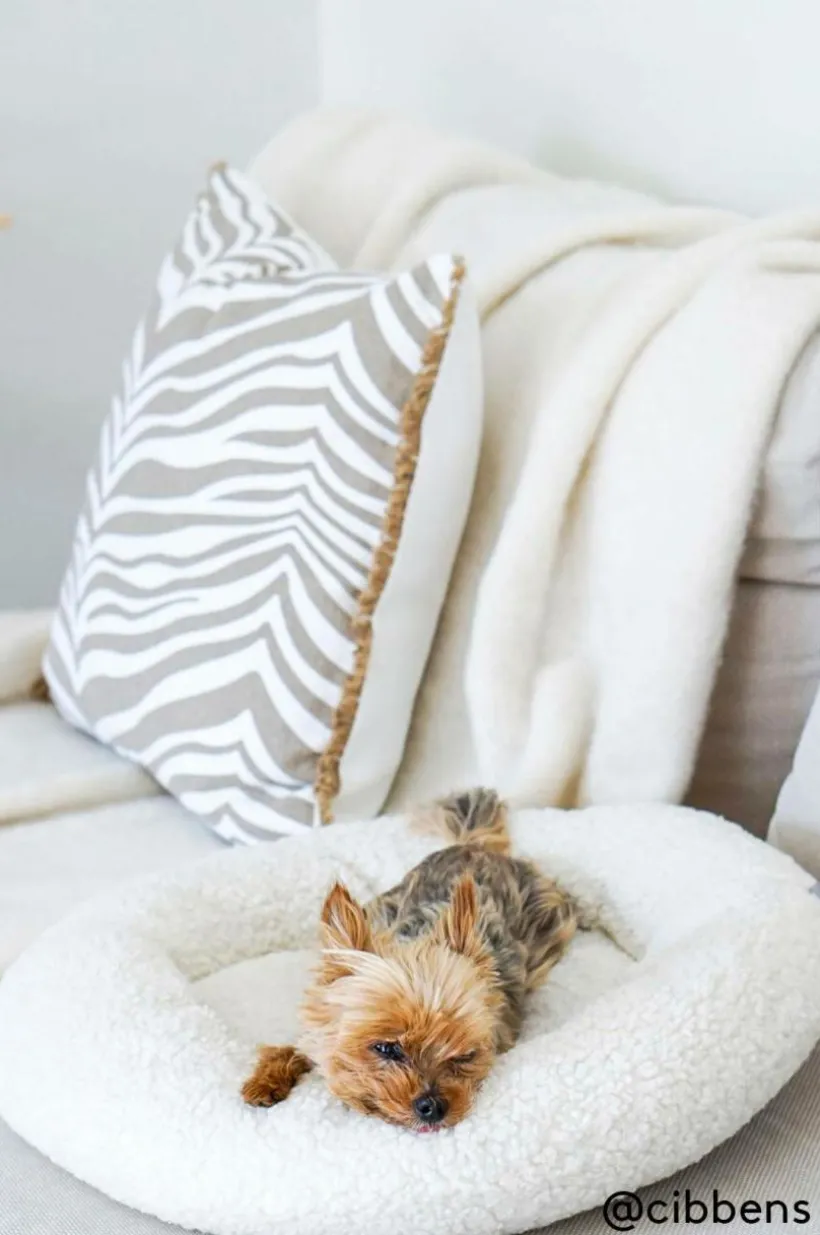 YOSHI Hundbädd/kattbädd