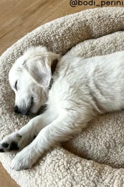 YOSHI Hundbädd/kattbädd