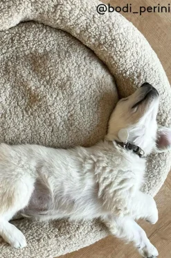 YOSHI Hundbädd/kattbädd